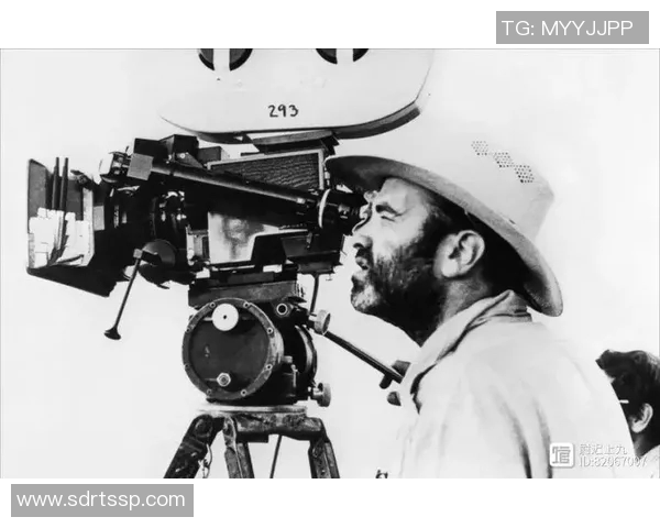 马力克的传奇人生与不屈精神探寻之旅 马力克的传奇人生与不屈精神探寻之旅