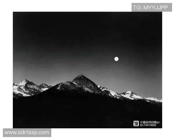 亚当斯的传奇人生与影响力探索：从科学家到文化象征的多重角色解析