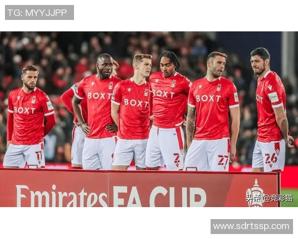 谢菲联与诺丁汉精彩对决直播全程回顾与分析 谢菲联与诺丁汉精彩对决直播全程回顾与分析